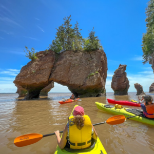 hopewell rocks